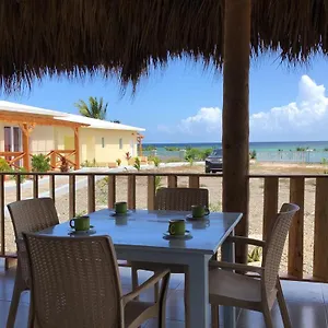 Cristal Punta Rucia
